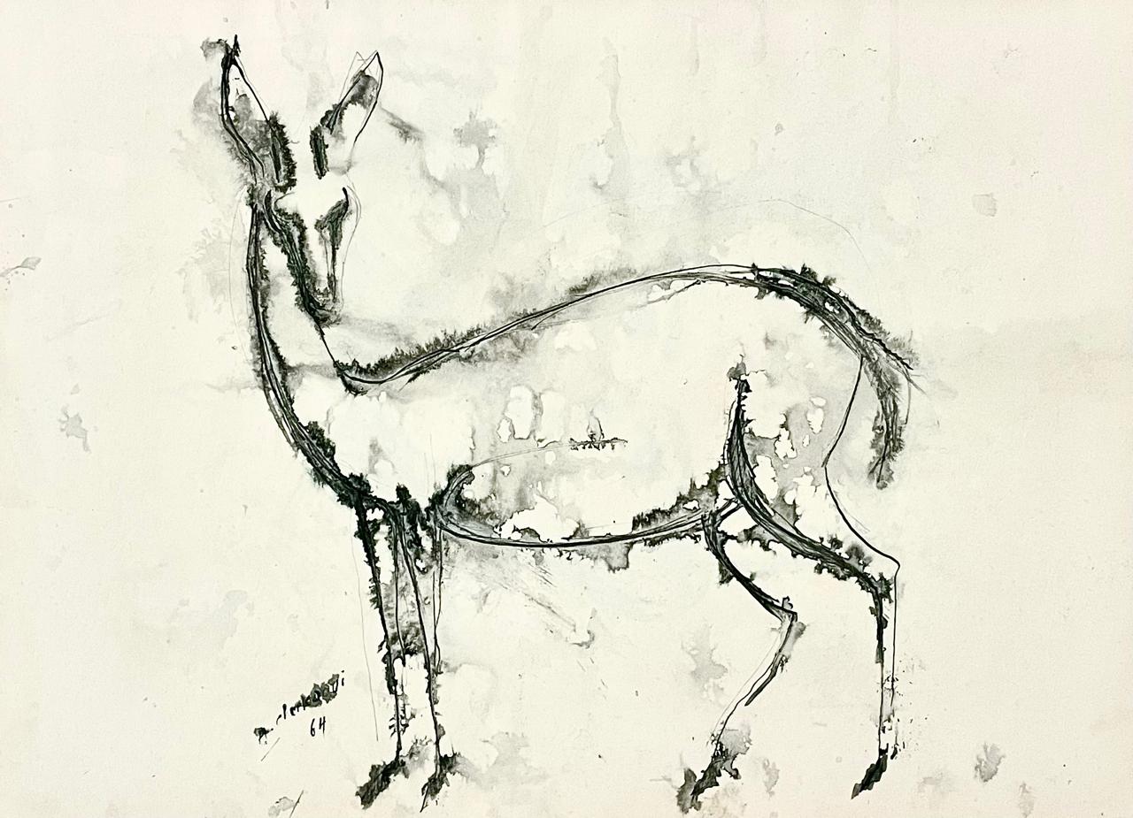 Dessin Gazelle